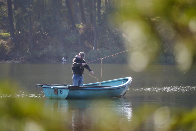 Morton Trout Fishery