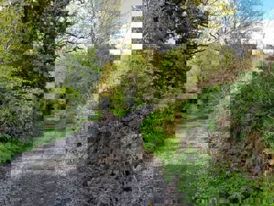 Alt Text